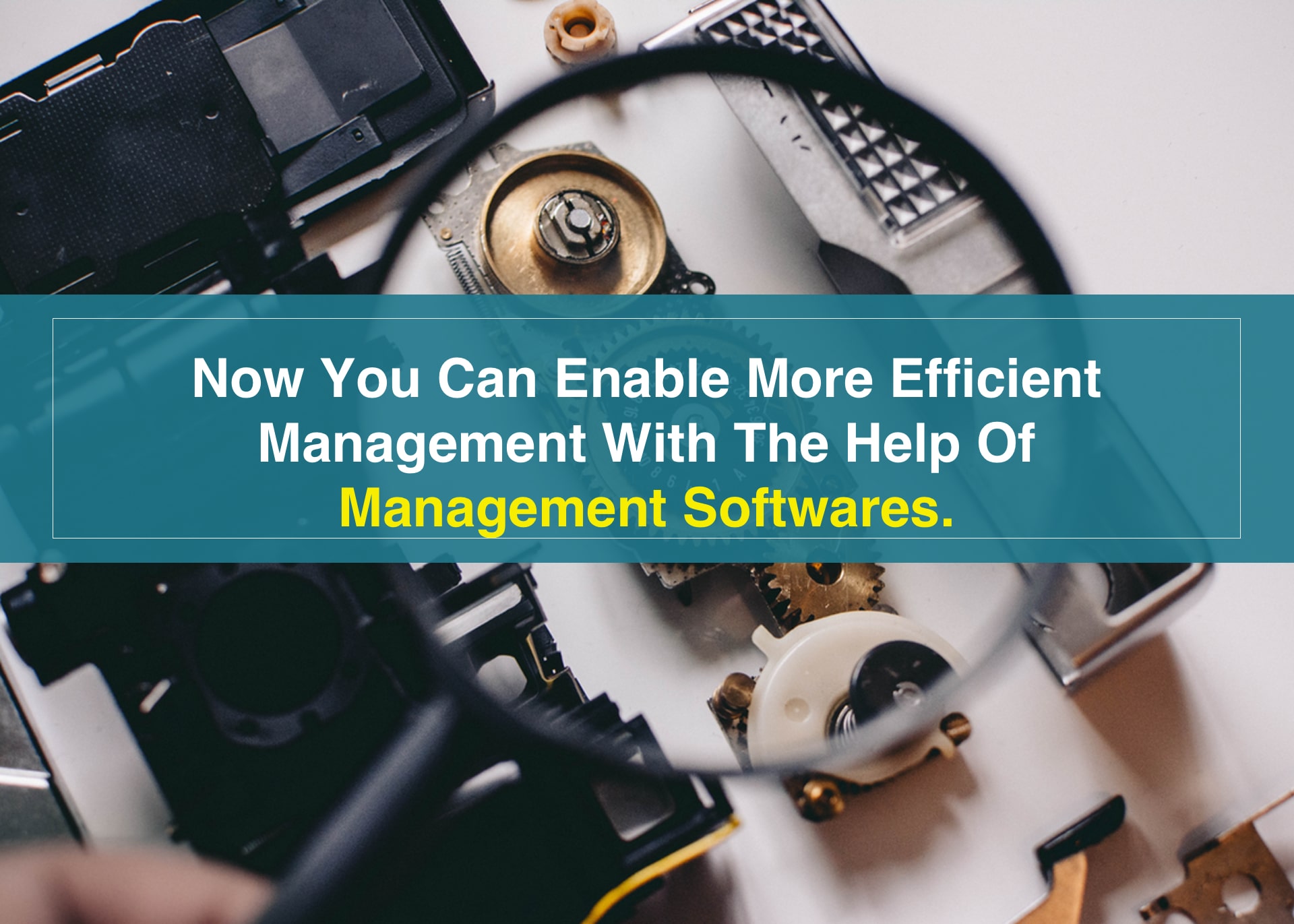 This is how using a management software will help you